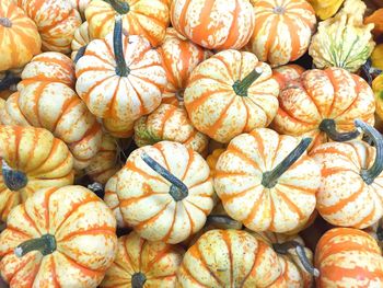 Full frame shot of pumpkins at market