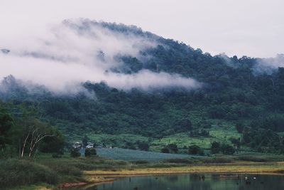 Scenic view of landscape against sky, tropical forest in the morning