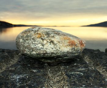 Close-up of rocks on beach against sky during sunset