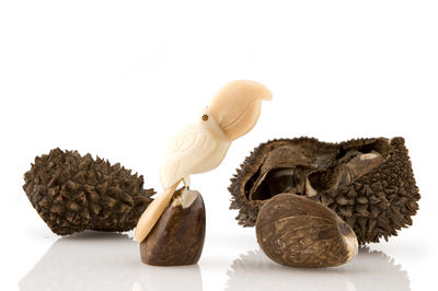 Close-up of pine cone against white background