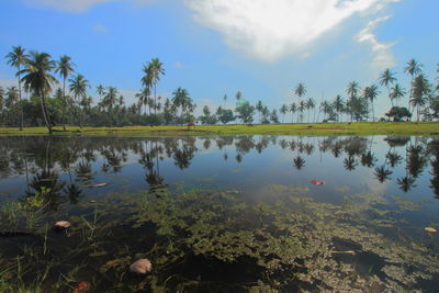 Scenic view of lake against sky
