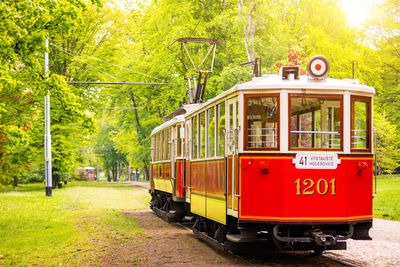 Train on railroad track in forest