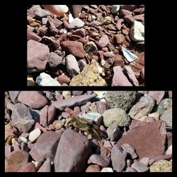 Close-up of stones