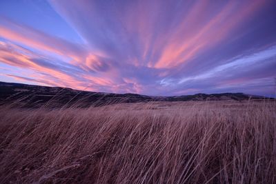 Scenic view of field against sky during sunset