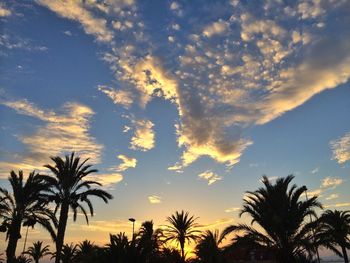 Low angle view of palm trees against cloudy sky