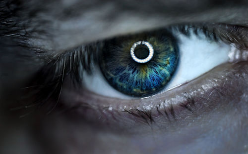 Close-up portrait of human eye
