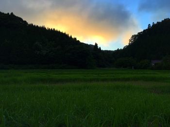 Scenic view of rural landscape