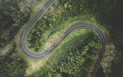 High angle view of road amidst trees in forest