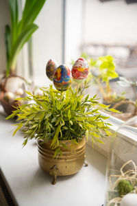 Close-up of potted plant