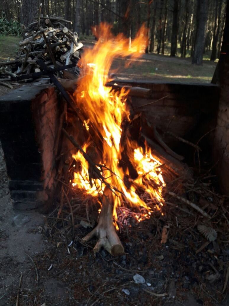 CLOSE-UP VIEW OF BONFIRE