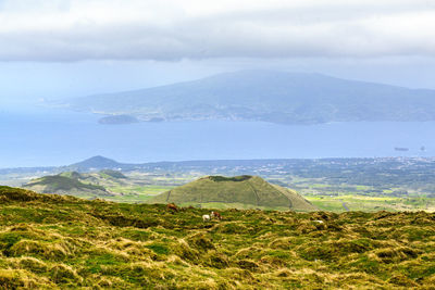 Scenic view of landscape against sky