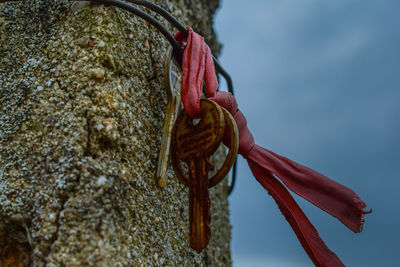 Close-up of rope tied up on rusty metal