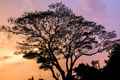 Low angle view of silhouette tree against sky at sunset