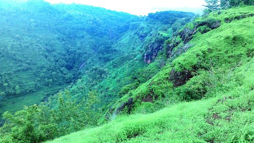 Scenic view of mountains