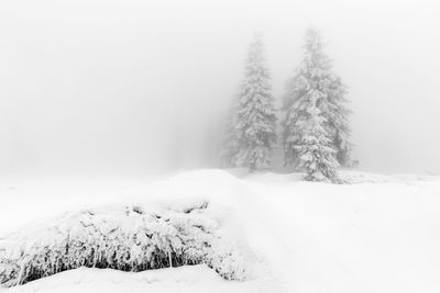 Snow covered land and trees against clear sky