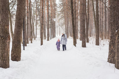 Rear view of people walking on snow covered land