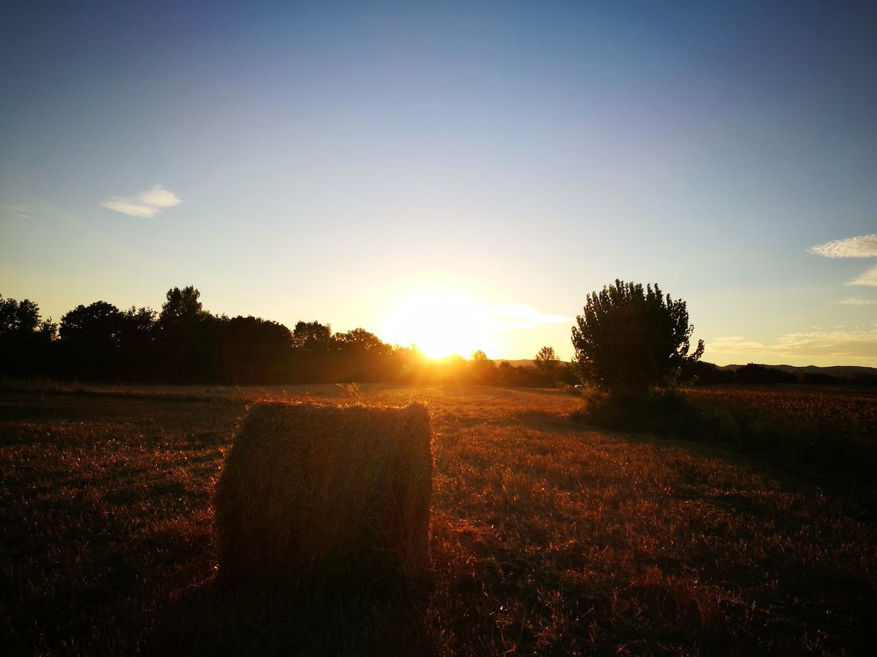 field, sunset, tranquility, landscape, nature, tranquil scene, sunlight, sun, scenics, beauty in nature, agriculture, sunbeam, tree, no people, sky, rural scene, silhouette, outdoors, grass, hay bale, day