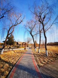 Bare trees on landscape against sky