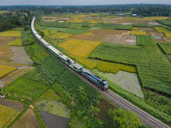 High angle view of agricultural field with a train