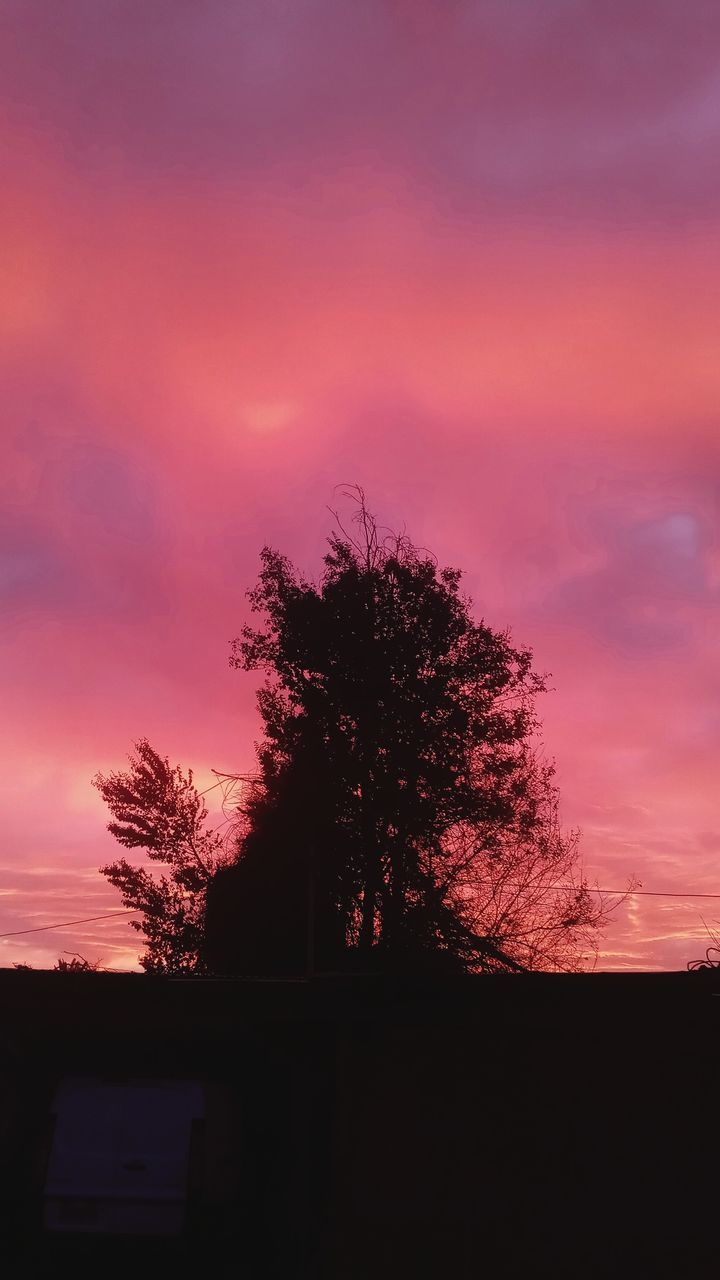 sky, tree, plant, sunset, silhouette, cloud, dawn, nature, beauty in nature, evening, no people, afterglow, architecture, tranquility, red sky at morning, scenics - nature, outdoors, pink, dramatic sky, tranquil scene, built structure, landscape, house, orange color, growth, building, building exterior, environment