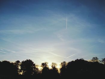 Low angle view of silhouette trees against sky