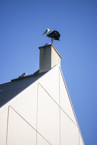 Stork bird on top of chimney on blue sky background