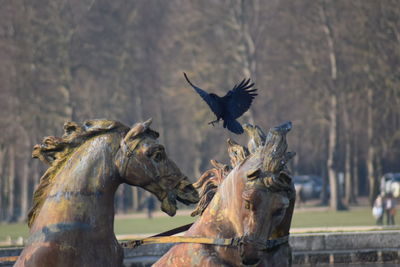 Low angle view of bird statue