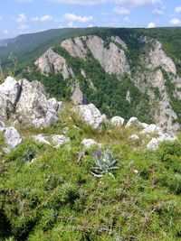 Scenic view of landscape and mountains against sky