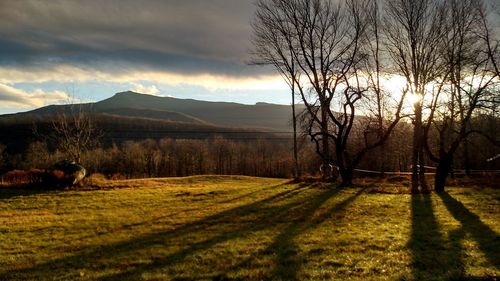 Scenic view of landscape against cloudy sky