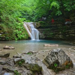 Scenic view of waterfall in forest