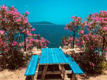 Purple flowering plants by sea against sky