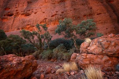 View of rock formation on land