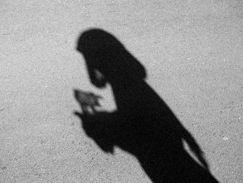 Shadow of man on sand