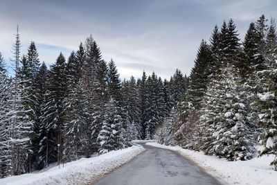 Road amidst trees against sky during winter