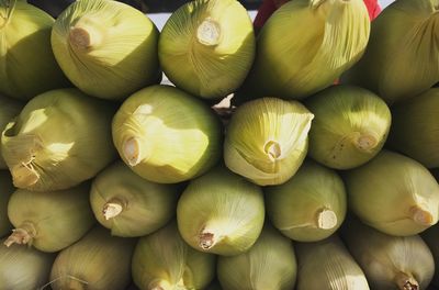 Full frame shot of onions