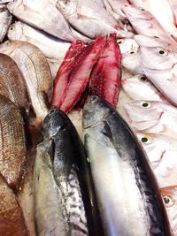 Close-up of fish for sale in market