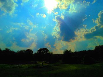 Scenic view of grassy field against sky