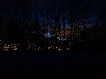 View of illuminated trees at night