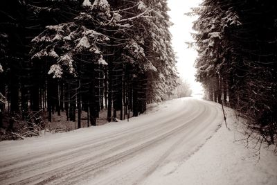 Snow covered road amidst trees