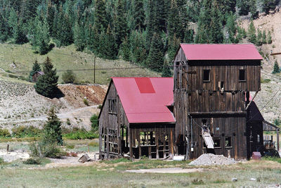 View of trees