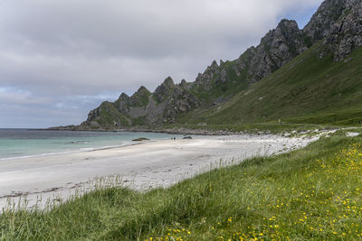 Scenic view of beach against sky