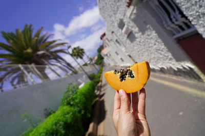 Close-up of hand holding fruit