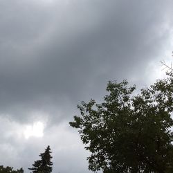 Low angle view of trees against cloudy sky