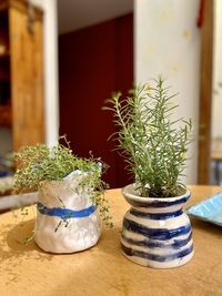 Close-up of potted plant