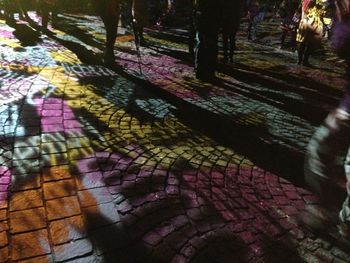 Close-up of multi colored leaves