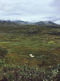 Scenic view of green landscape and mountains against sky