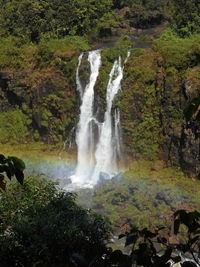 Scenic view of waterfall in forest