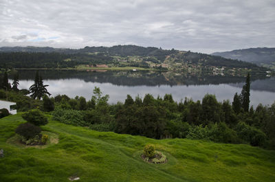 Scenic view of lake by trees against sky