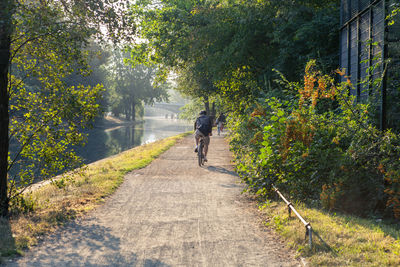 Rear view of man walking on road amidst trees