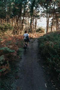 Rear view of man walking on road amidst trees in forest